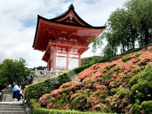 Culture-experiences-japan
